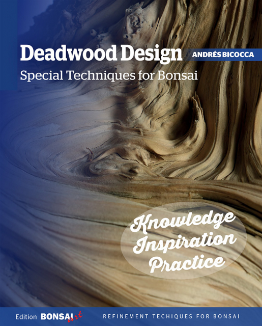 Deadwood Design