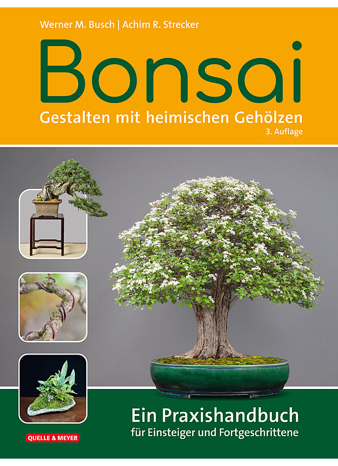 Logo:Bonsai - Gestalten mit heimischen Gehölzen - 3. Auflage