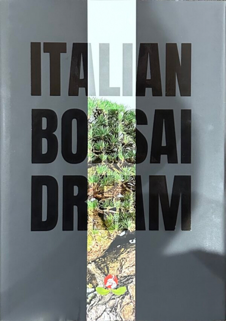 Logo:Bonsai Dream 2