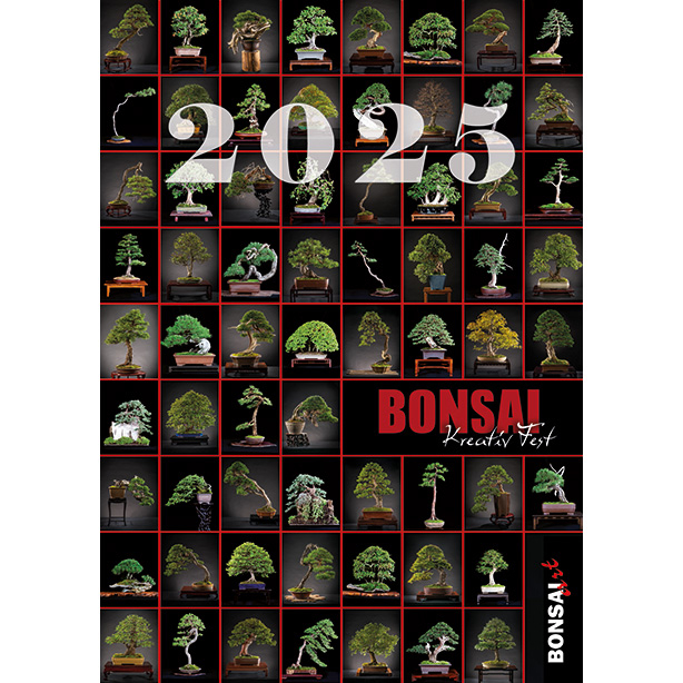 BONSAI ART Kalender 2025 - Kreativ Fest