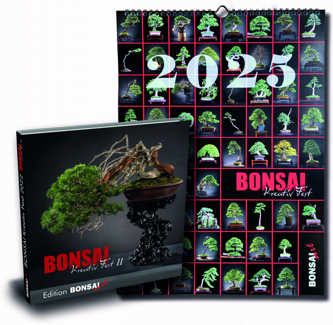 Kombi-Angebot: Kalender 2025 + Kreativ Fest II