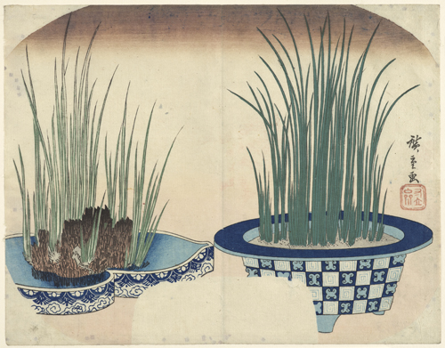 Utagawa Hiroshige (1797–1858), Zwei Pflanzbecken aus Porzellan mit Rohrkolben