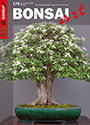 BONSAI ART 179