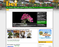 Bonsai Clubs International