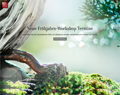 Mike Tran – minorubonsai.de