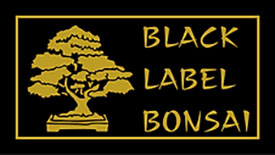 BLACK LABEL BONSAI - BONSAI. KOI. JAPANGARTEN. Niederkrüchten