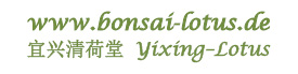 Zhang 2019 FH Web