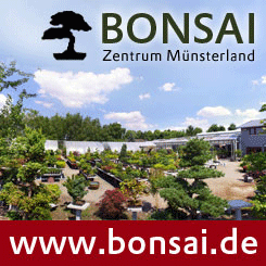 Bonsai-Zentrum Münsterland