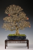 Noelanders Trophy 2010_40