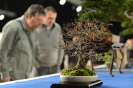 19. Noelanders Trophy 2018 / Genk_26