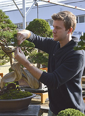 Advanced Bonsai Course mit Bjorn Bjorholm