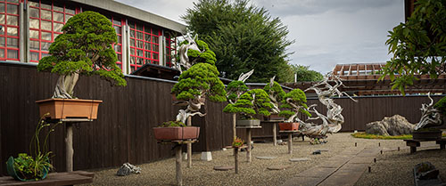 Blick in den Garten von Shinji Suzuki in der Kleinstadt Obuse in der Präfektur Nagano auf der japanischen Hauptinsel Honshū