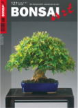 Die aktuelle BONSAI ART