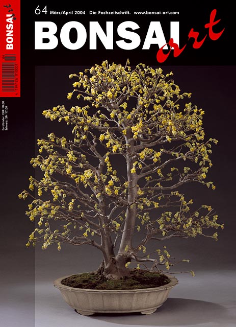 BONSAI ART Rare Ausgaben