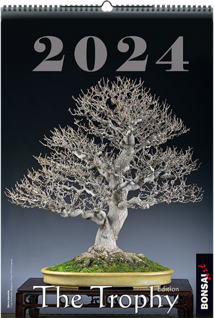  The Trophy - BONSAI ART Kalender 2024