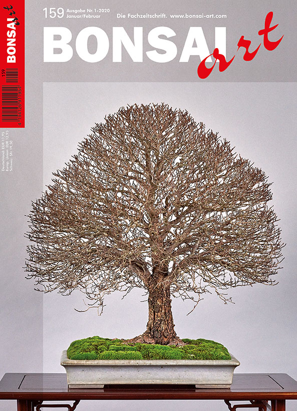  BONSAI ART 159