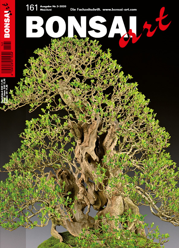  BONSAI ART 161