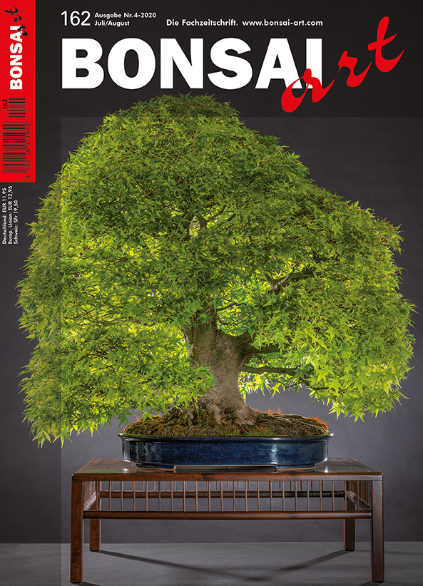  BONSAI ART 162