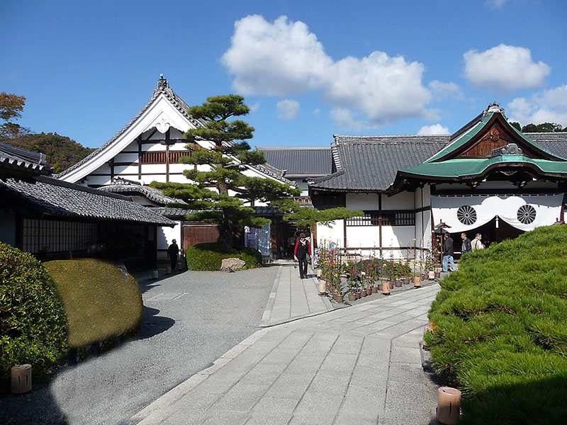 Eingangsbereich des Daikakujitempels mit einer elegant gestalteten Kiefer