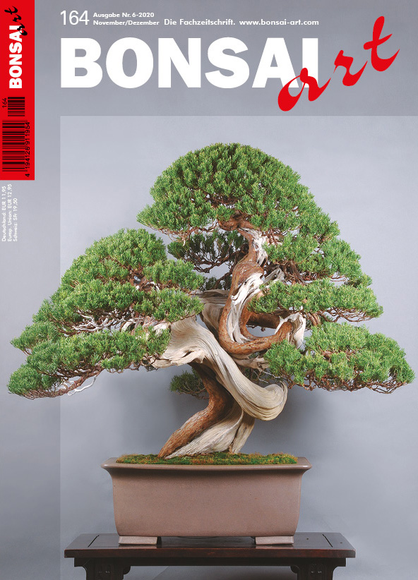  BONSAI ART 164