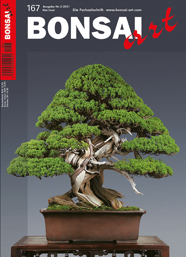  BONSAI ART 167