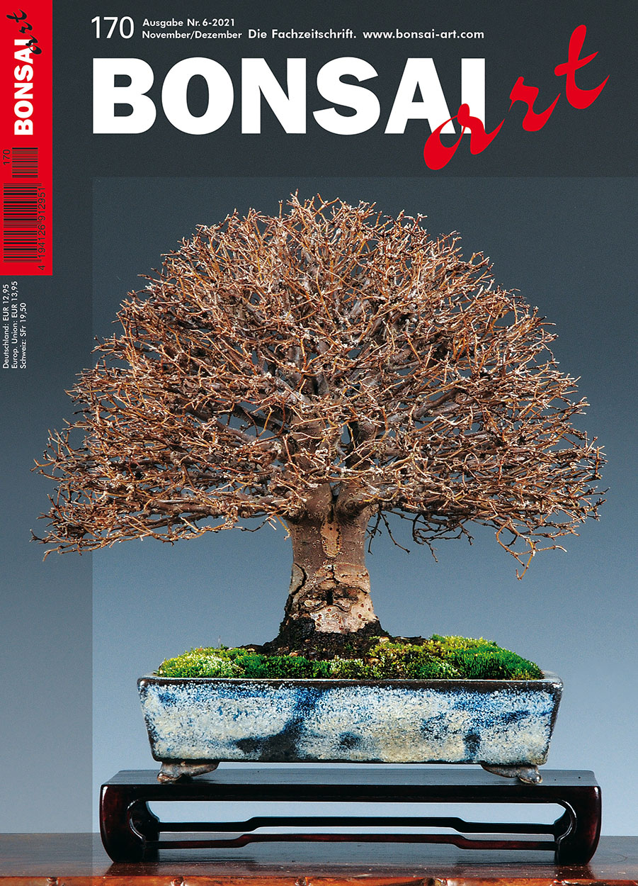  BONSAI ART 170