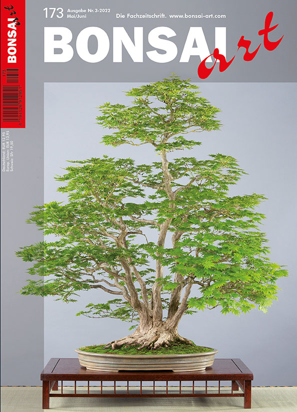  BONSAI ART 173