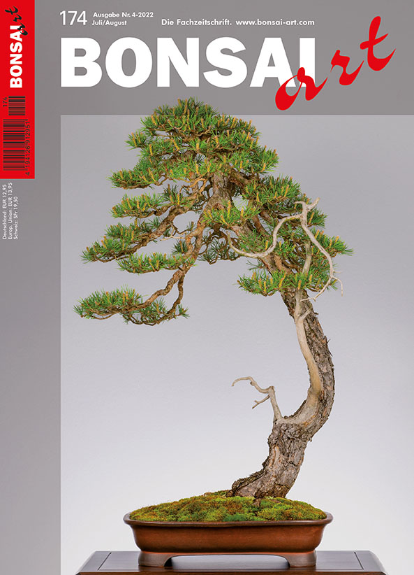  BONSAI ART 174