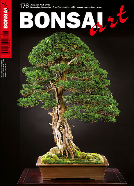  BONSAI ART 176