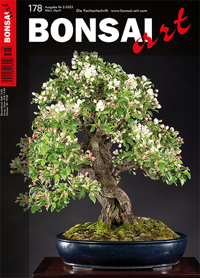  BONSAI ART 178