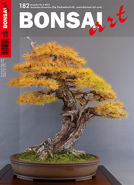 BONSAI ART 180