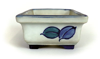 172 Bonsai Schalkenkunde 01 web