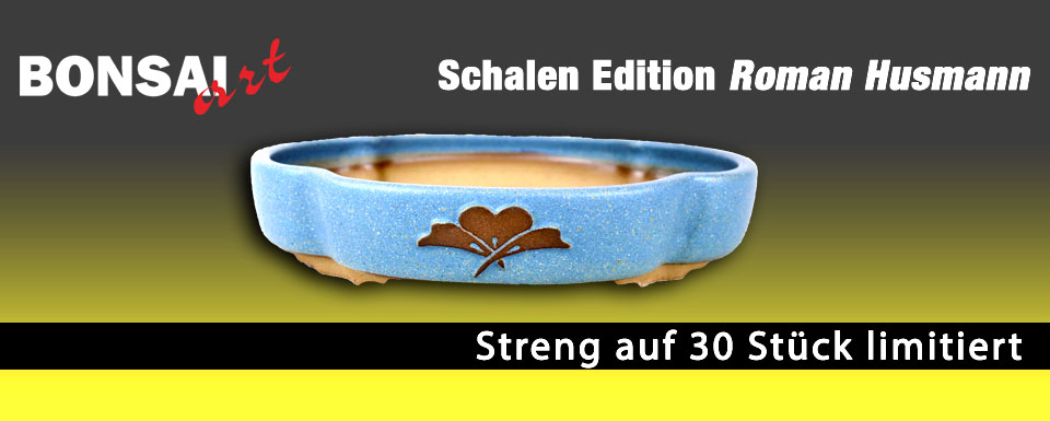 BONSAI ART Schalen Edition Roman Husmann: die neuen BONSAI ART Schaleneditionen 2022