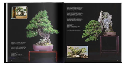 Bonsai Kreativfest 2019 Inhalt 01 th