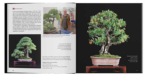 Bonsai Kreativfest 2019 