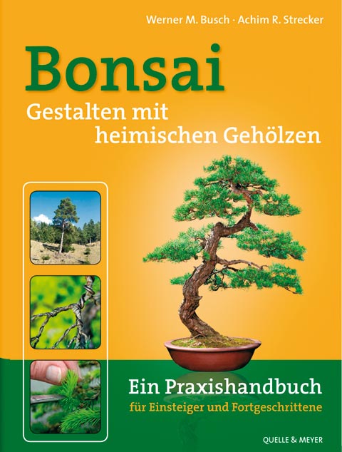 Bonsai. Gestalten mit heimischen Gehölzen