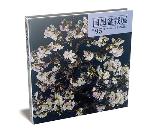 Kokufu95 Cover web
