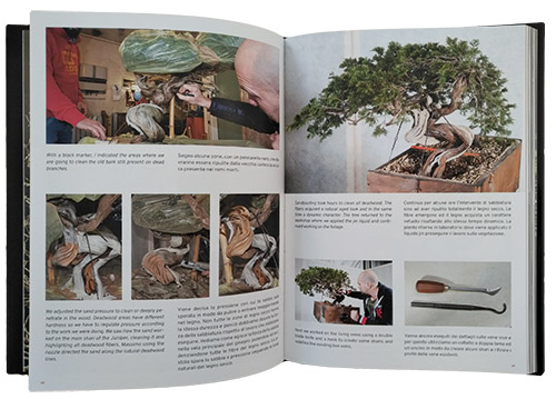 Stemberger Bonsai Dream Book inside web