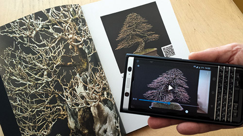 Stemberger Bonsai Dream QR Code