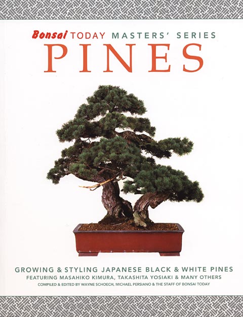 pine_masters_01.jpg