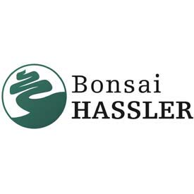 Bonsai Hassler Bonsai HAssler