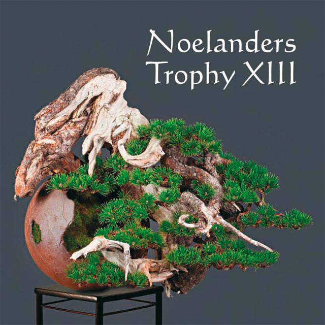 Noelanders Trophy XIII