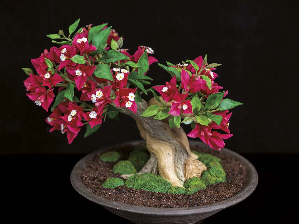 Bougainvillea-Bonsai aus Zucker von Claudia Lühmann. Höhe 16 cm, Breite 22 cm