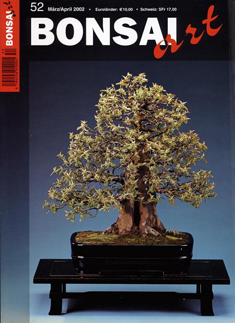 Logo:BONSAI ART 052