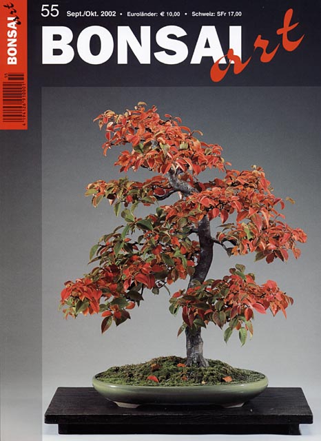 Logo:BONSAI ART 055