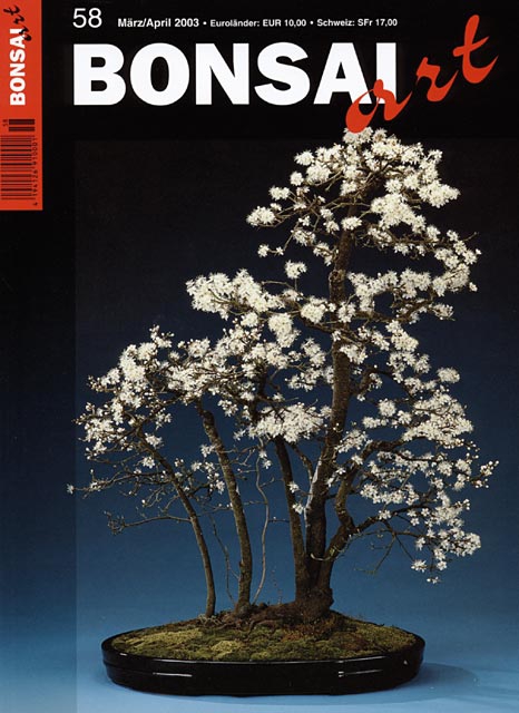 Logo:BONSAI ART 058