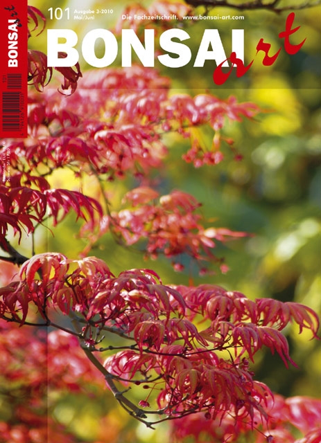 Logo:BONSAI ART 101