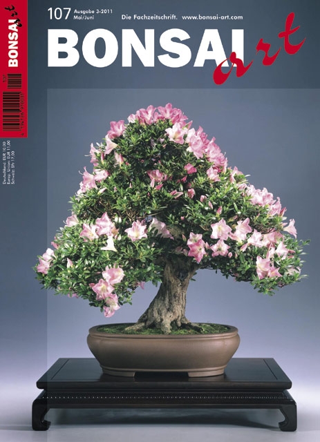 Logo:BONSAI ART 107
