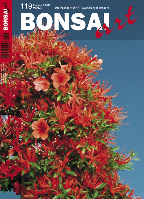 Logo:BONSAI ART 119