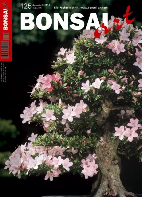 Logo:BONSAI ART 125